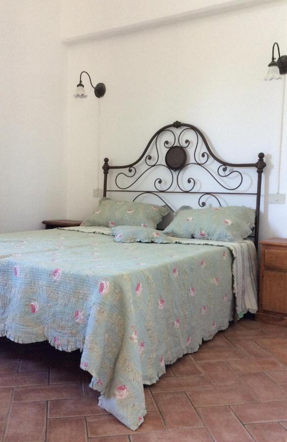 Apartamento Relais Casale Il Poggetto - Olivo 2 By Zoom In Earth Cecina  Exterior foto
